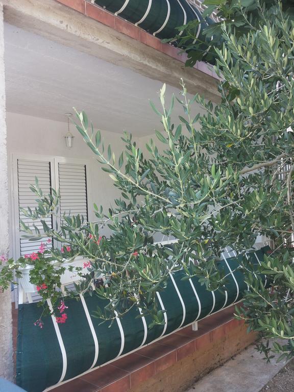 Apartment Gotovina Biograd Na Moru Εξωτερικό φωτογραφία
